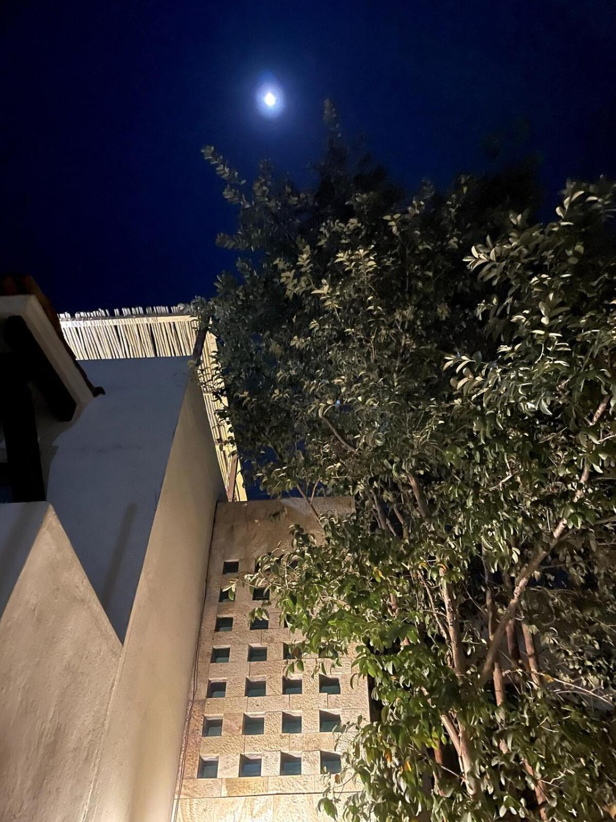 Santa Maria Atzompa Casa Colibri Oaxaca Con Jacuzzi En Terraza 빌라 외부 사진